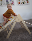 Wooden Montessori Climbing Triangle (color)